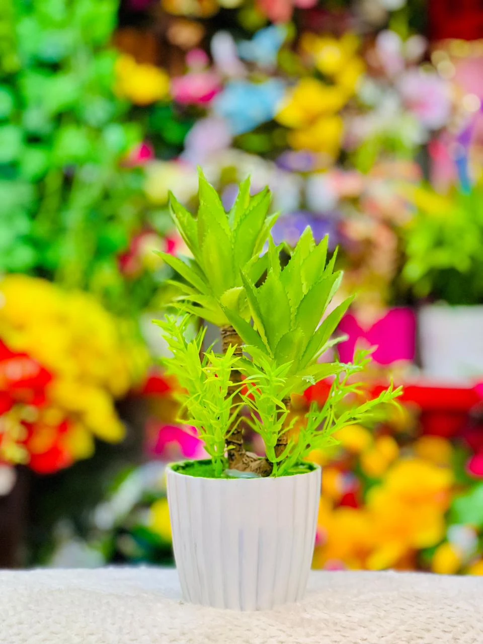 Nature in a Pot: The Perfect Refreshment  Small Plant, Big Vibes Green Serenity