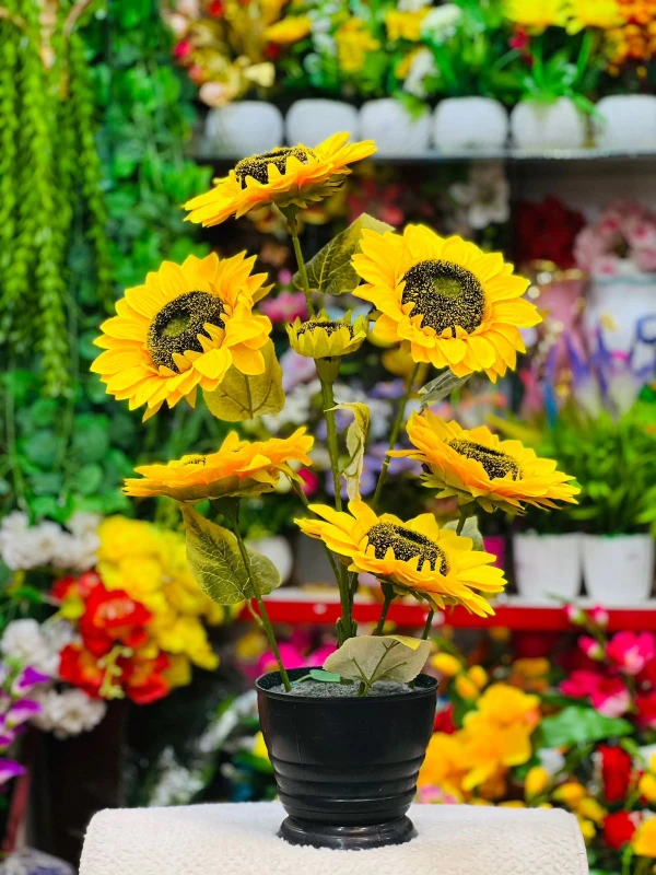 The Golden Glory of Sunflowers The Golden Variegated Glow Nature’s Golden Edge Chasing the Sun