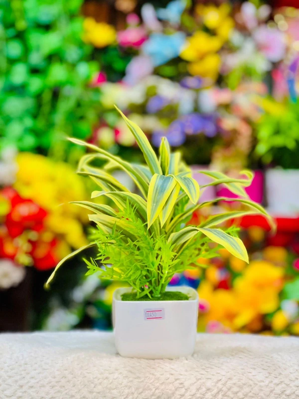 Golden Variegated Elegance Sun-Kissed Foliage The Modern Square Planter A Touch of Sun-Bright Leaves