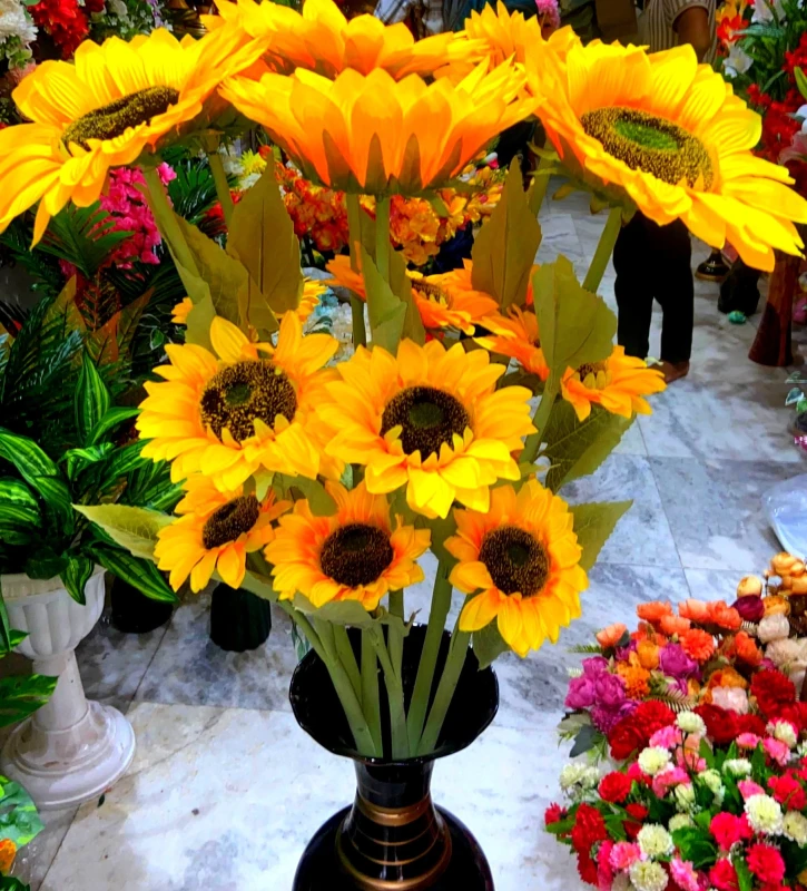 The Golden Glory of Sunflowers The Golden Variegated Glow Nature’s Golden Edge Chasing the Sun